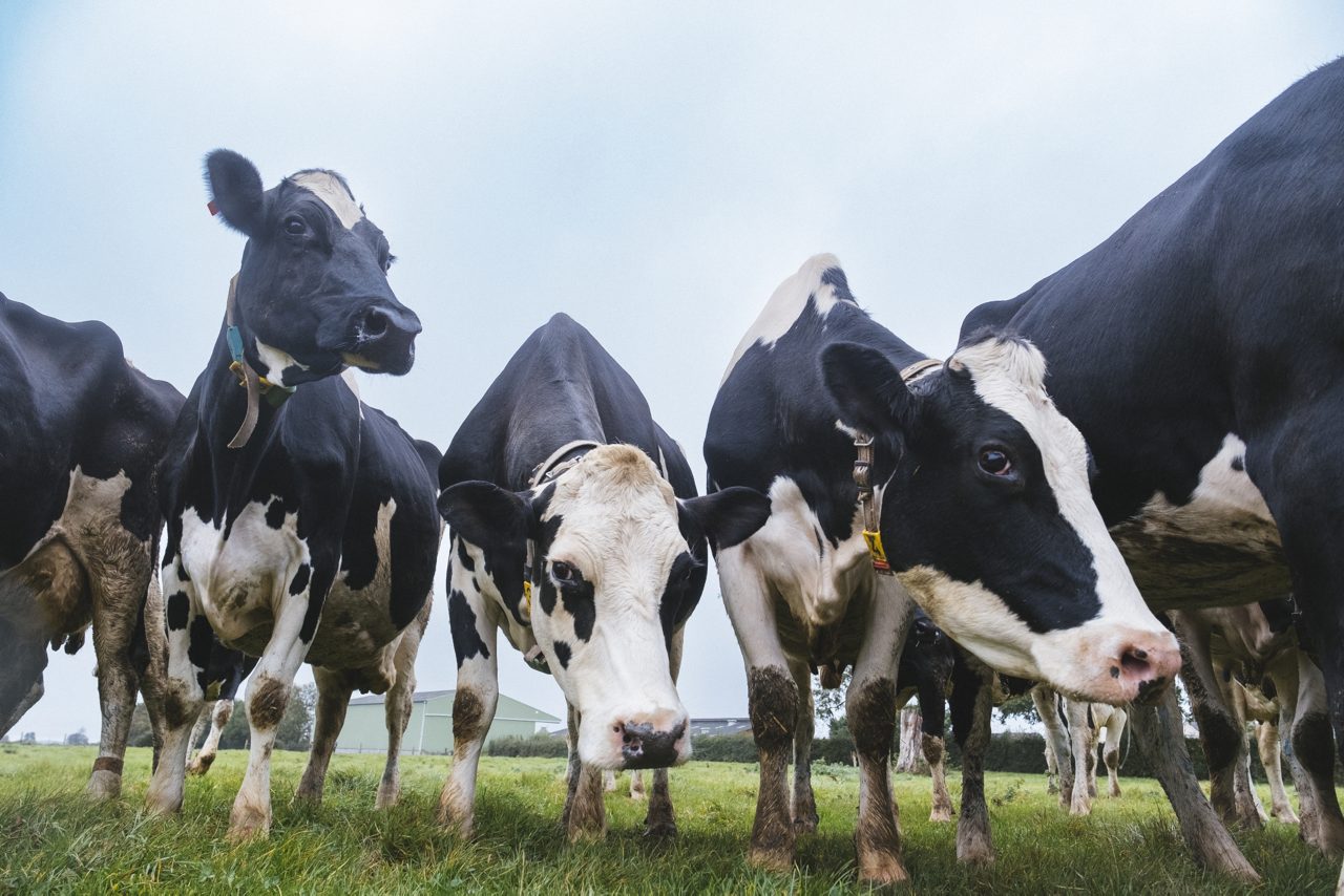Assessing our carbon footprint
