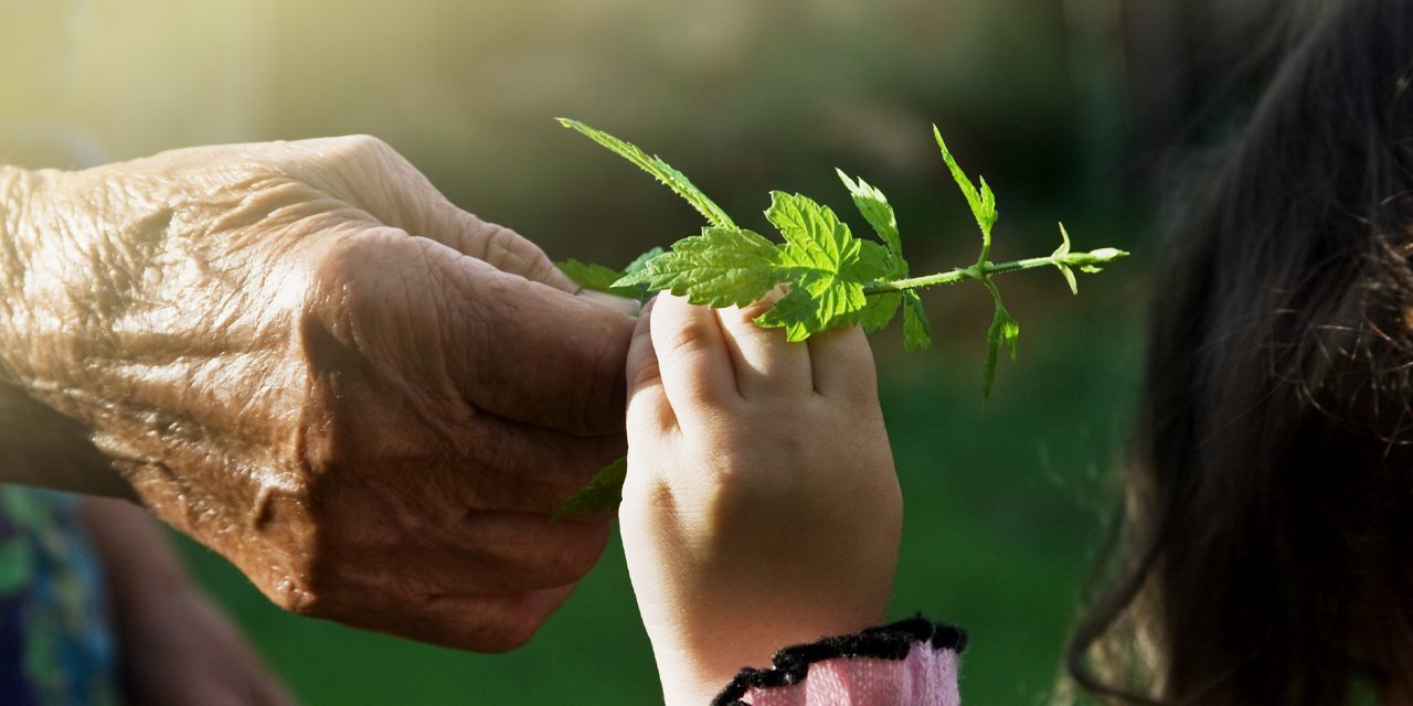Danone Preserve Regenerate