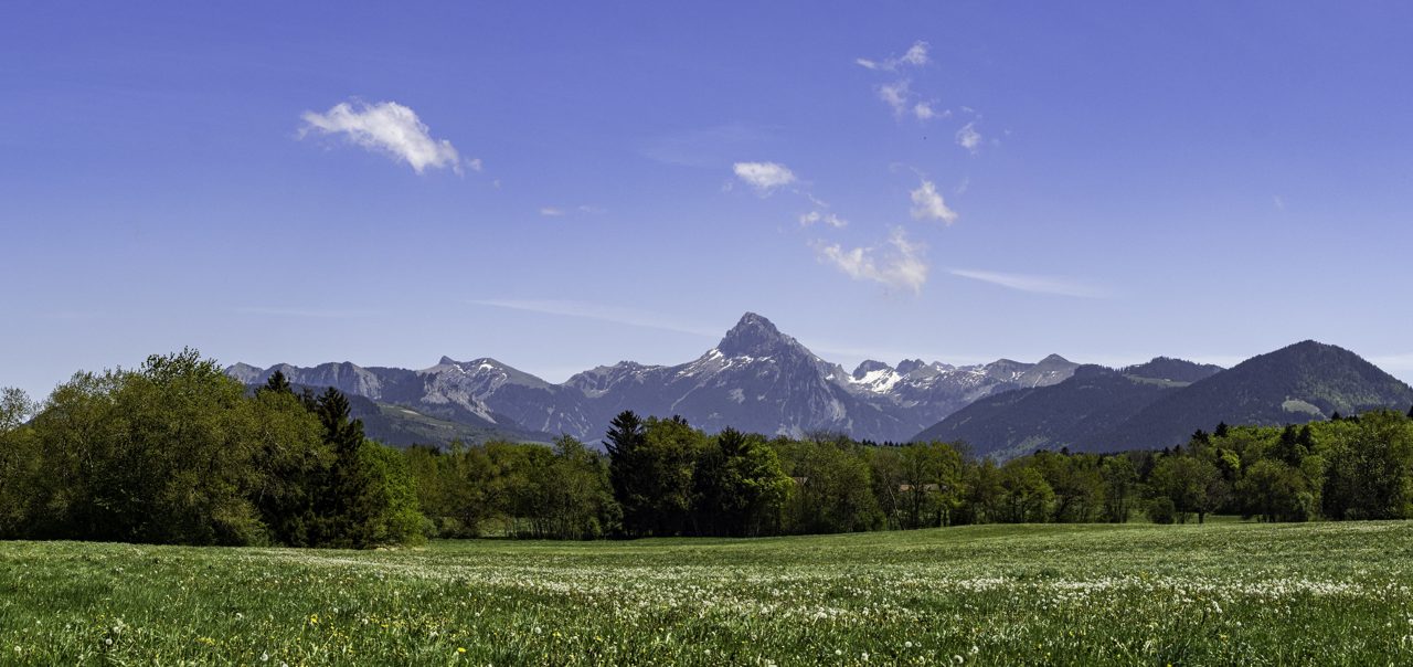 Danone Preserve resources