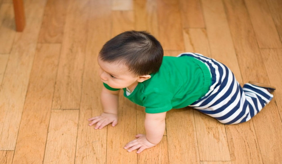 Bé mấy tháng biết ngồi và bò? Dấu hiệu trẻ sắp biết ngồi và bò