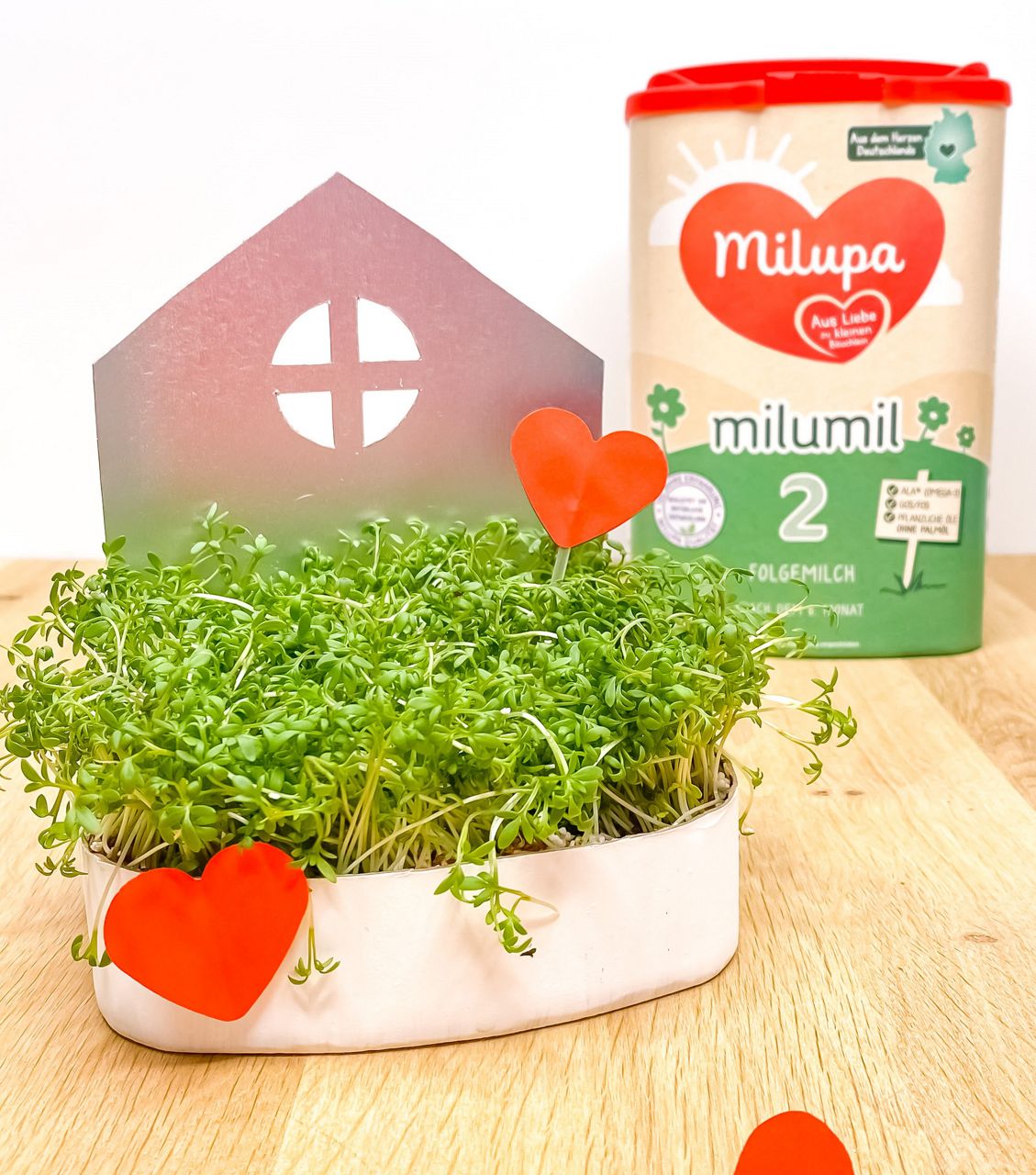 Bastelvorschlag Milumil FO2 Kressehaus