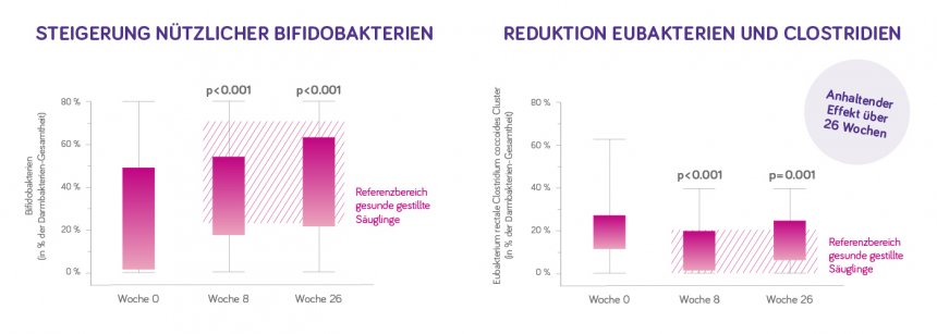 Wissenschaftliche Belege Synbiotika