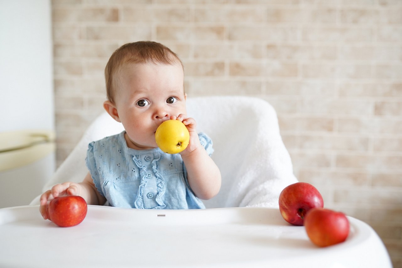 cute Baby eating fruit. Little girl biting yellow apple sitting in white high chair in sunny kitchen. Healthy nutrition for kids. Solid food for infant. Snack or breakfast for young child