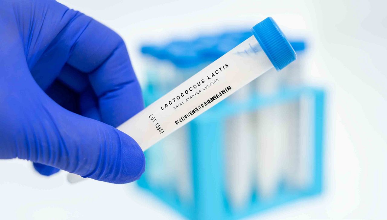 femmes dansant en se regardant le ventre et en souriant