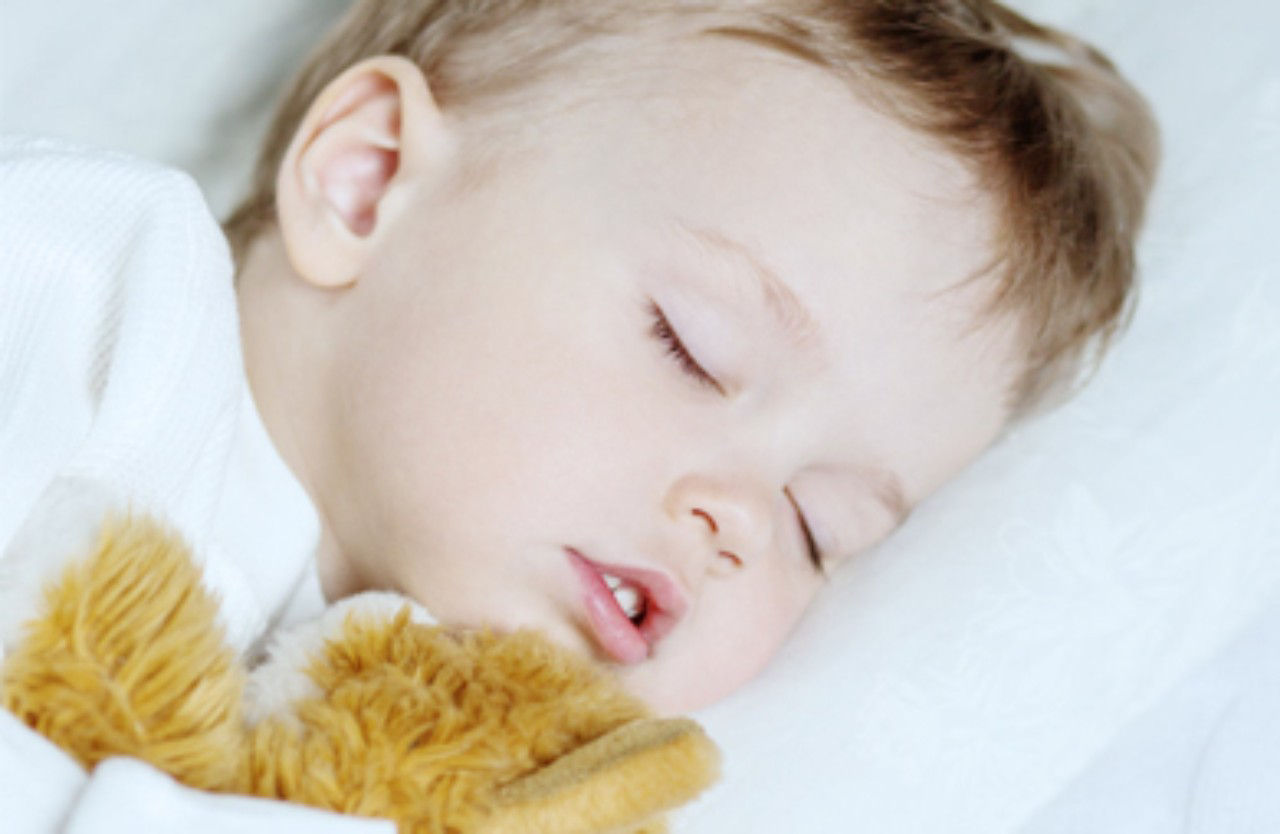 Toddler sleeping holding a stuffed toy