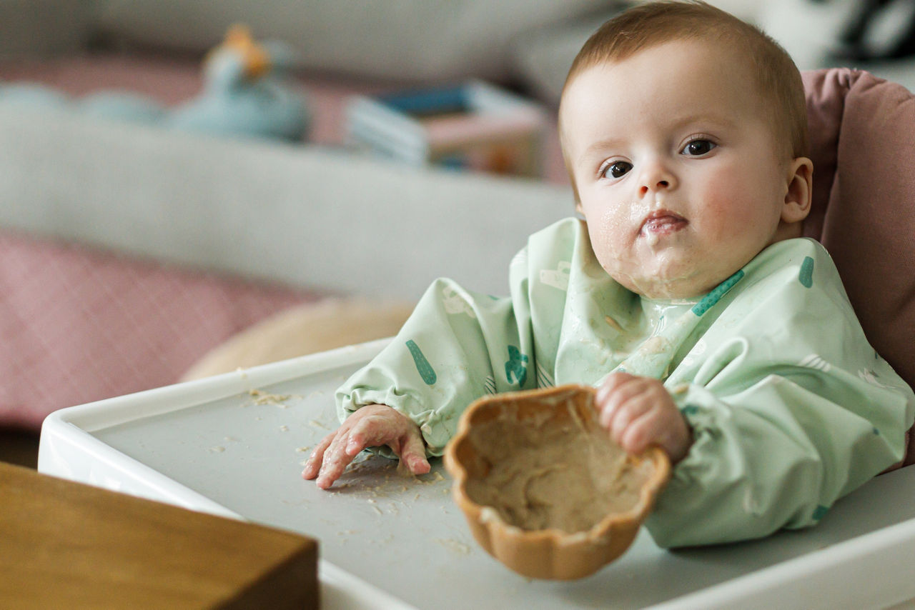 Oysters In Pregnancy