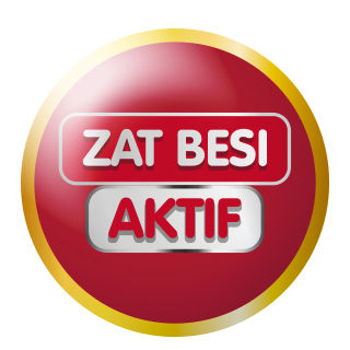 A glossy red circular badge features the Indonesian text "ZAT BESI" and "AKTIF" in bold white and red lettering. The badge has a metallic gold outer rim and a subtle gradient that gives it a three-dimensional appearance. The words are placed inside rounded rectangular panels, emphasizing an active iron-related concept. The overall design suggests a highlight or callout element for product communication.