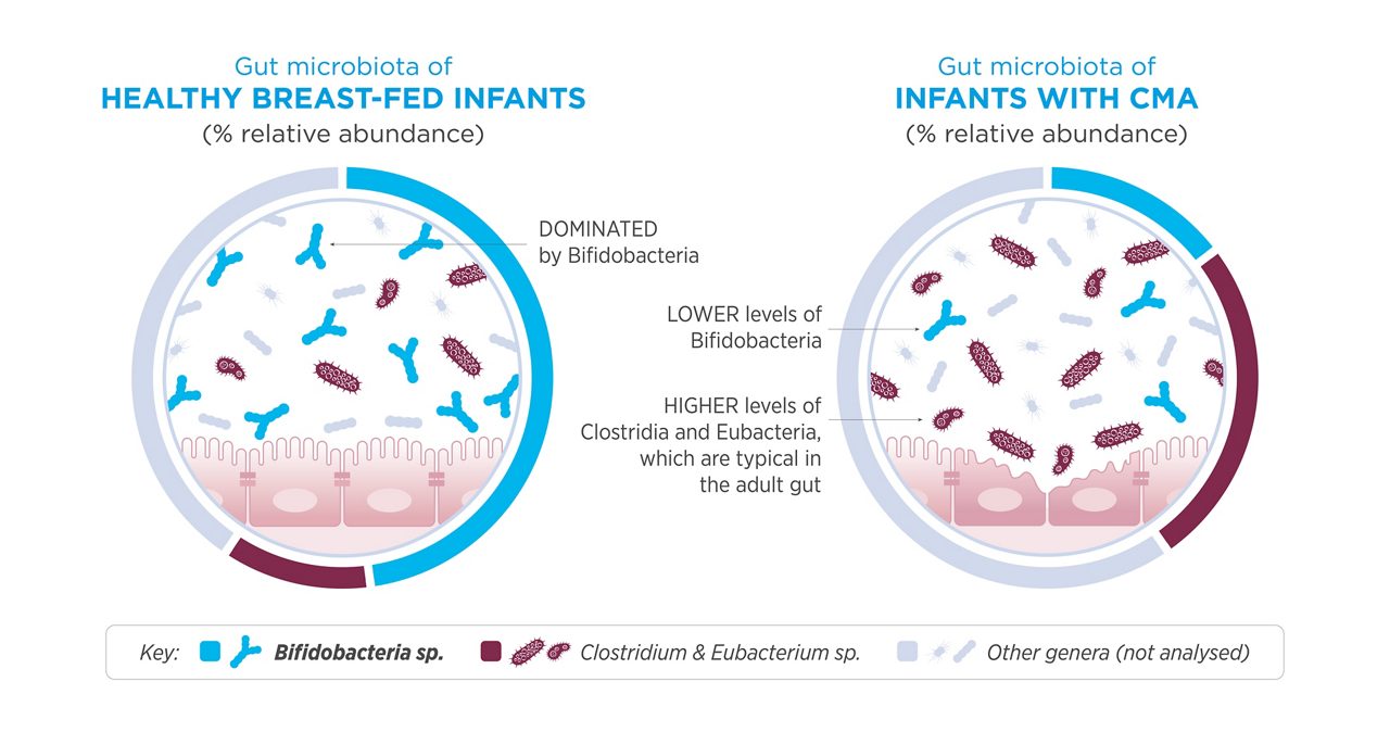 Graph to explain dysbiosis in the gut