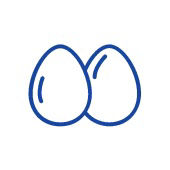 eggs