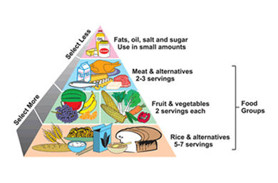 why-bacteria-is-not-a-bad-word1.jpg