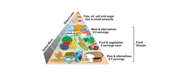 emotional-what-food-should-we-eat-during-pregnancy-v2