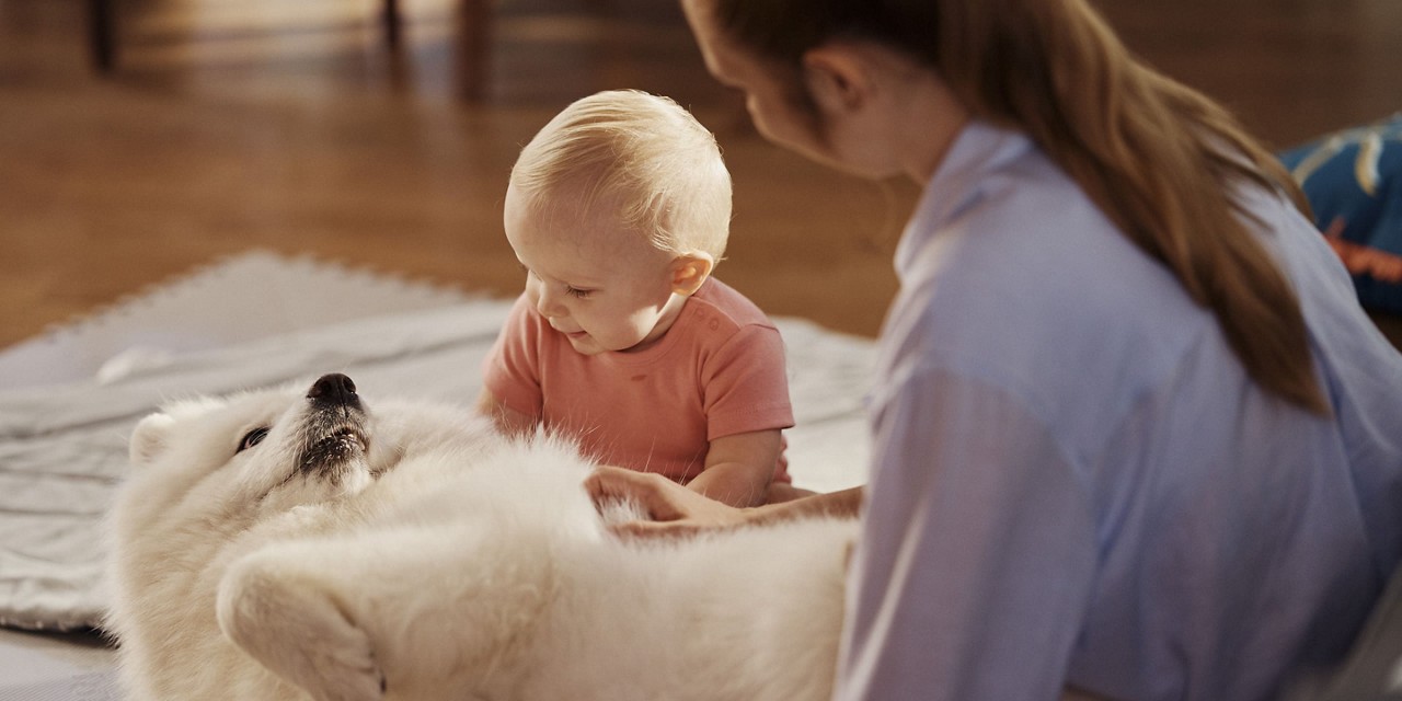 Un jeune enfant en tenue rose interagit avec un chien blanc duveteux allonge sur le dos. Une femme aux longs cheveux roux, vetue d une chemise bleu clair, est assise a proximite. Le cadre semble etre a l interieur avec un eclairage tamise et une atmosphere chaleureuse.
