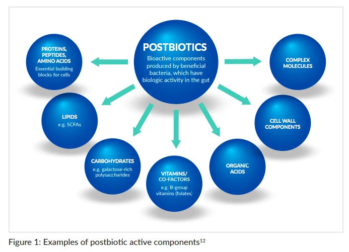 examples-of-postbiotics-active-components