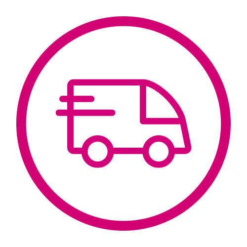 Fast delivery van icon