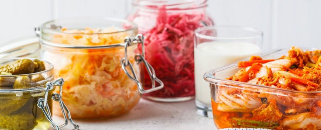 Cancer Care website images - fermentedfoods