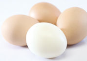 fish-and-vegetable-egg-cup.jpg