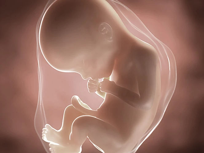 22 weeks pregnant just loving my maternity @spanx ☺️ #pregnant #pregna