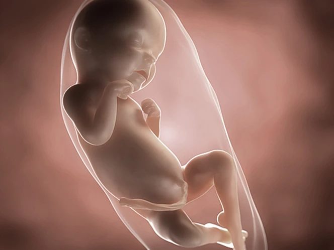 Your baby's development at 31 weeks