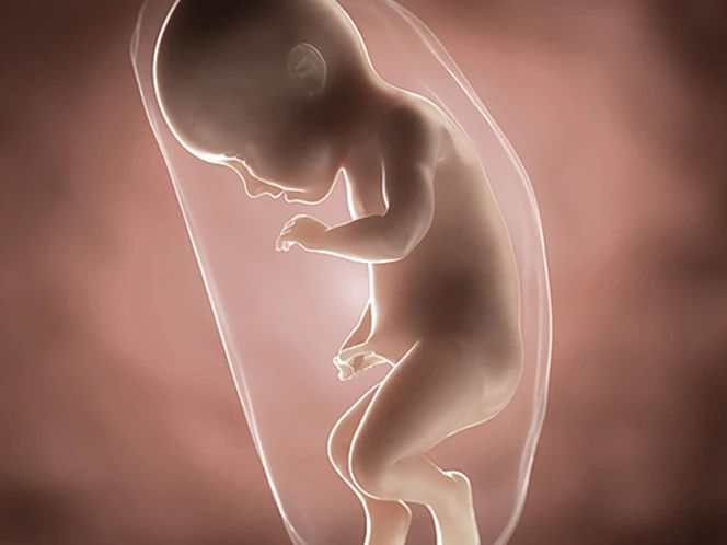 34 Weeks Pregnant: Baby Development, Symptoms & Signs