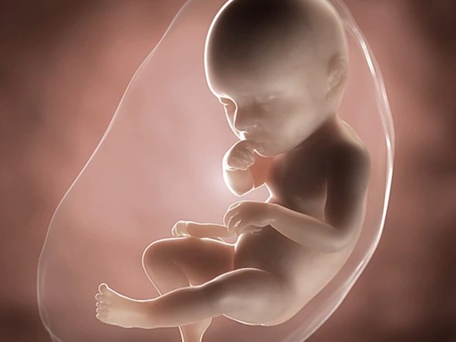 foetus-pregnancy-week-39