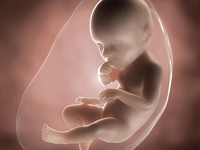 foetus-pregnancy-week-39