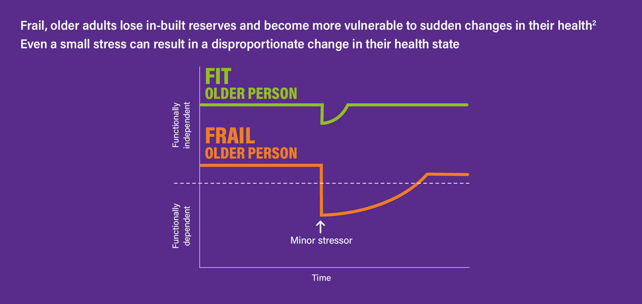 frailty-drm-stressors-infographic-2024.jpg