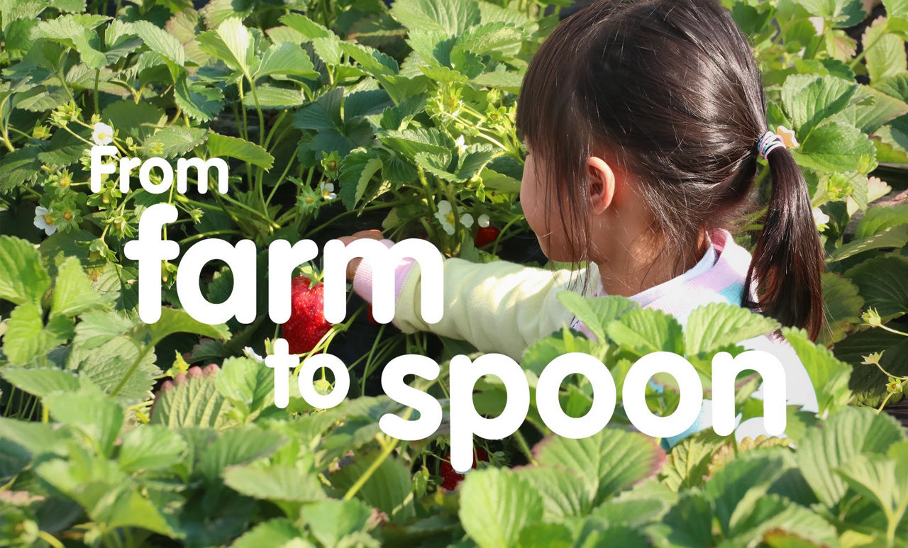 From farm to spoon