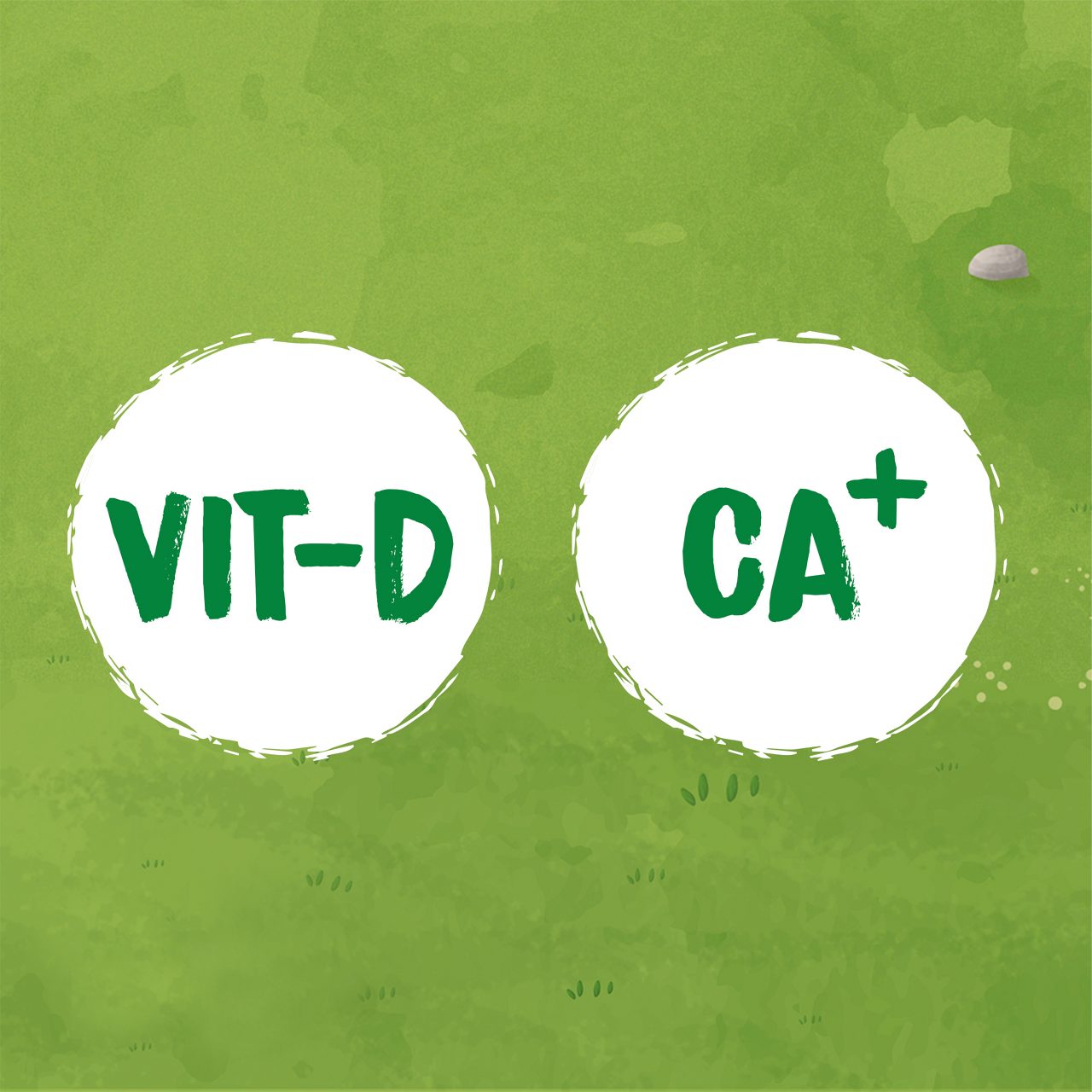 Das ist die über 50-jährige Geschichte der FruchtZwerge