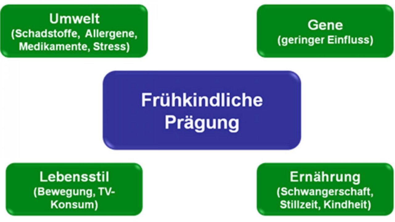 Umwelt, Gene, Lebensstil und Ernährung beeinflussen gemeinsam die frühkindliche Prägung laut Nutricia-Grafik.