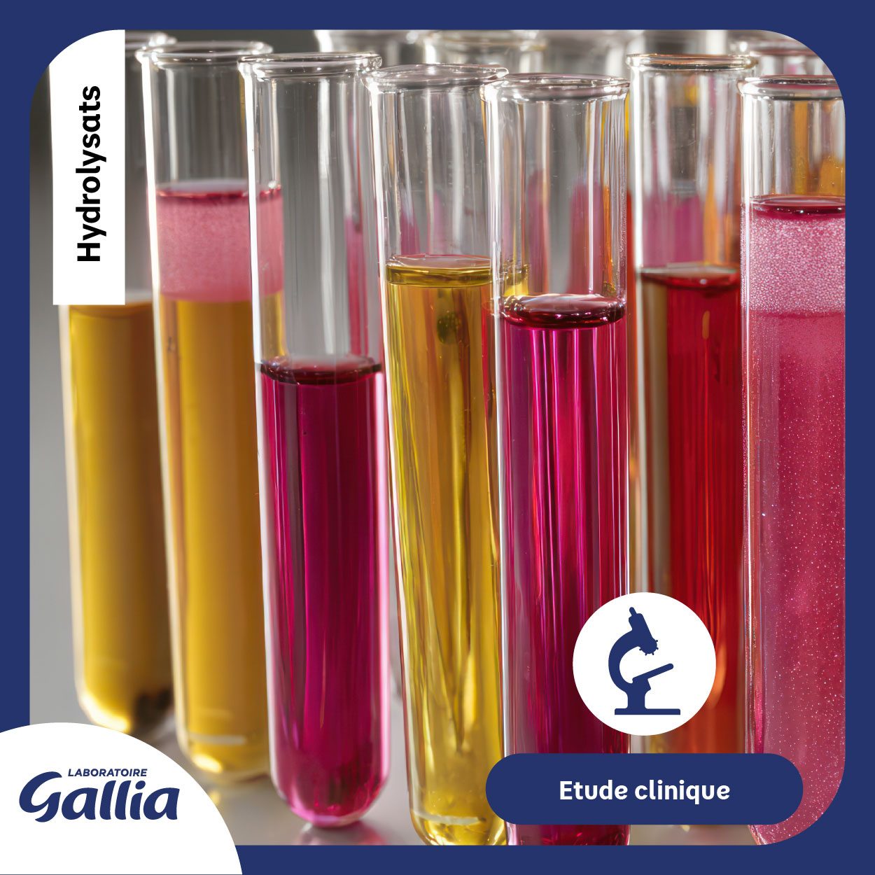 Vignette Etude Clinique Hydrolysats