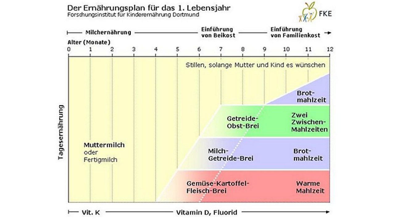 Der Ernährungsplan zeigt nach Monaten, wann Muttermilch, Brei und Familienkost im ersten Lebensjahr eingeführt werden.