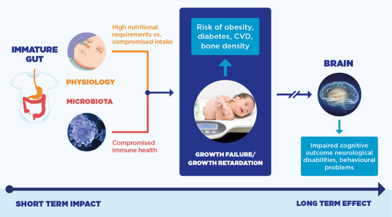 Gut microbiome impact