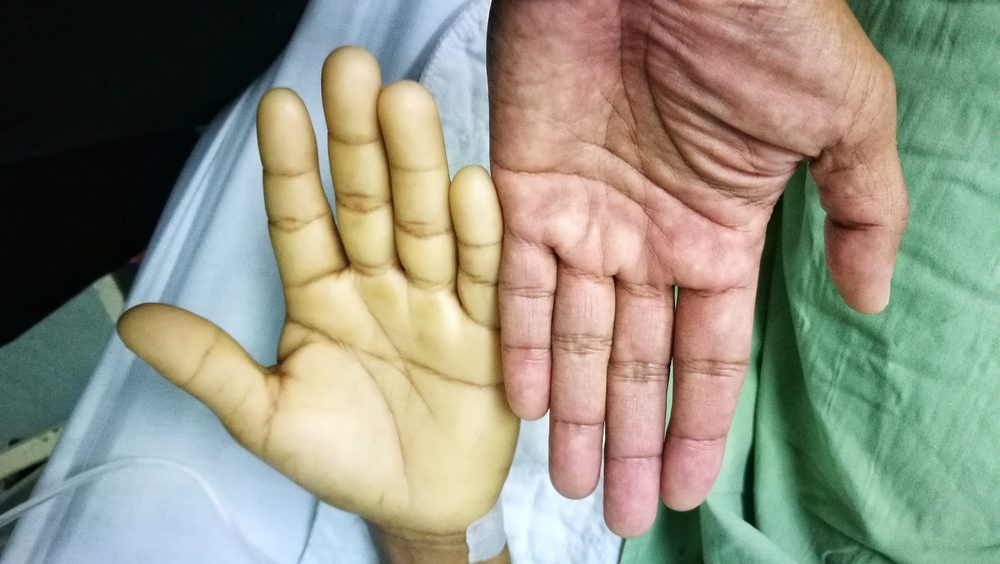 handsCompare.jpg