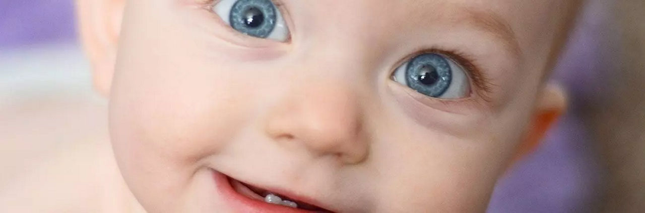 Oysters In Pregnancy