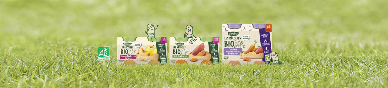 Oysters In Pregnancy