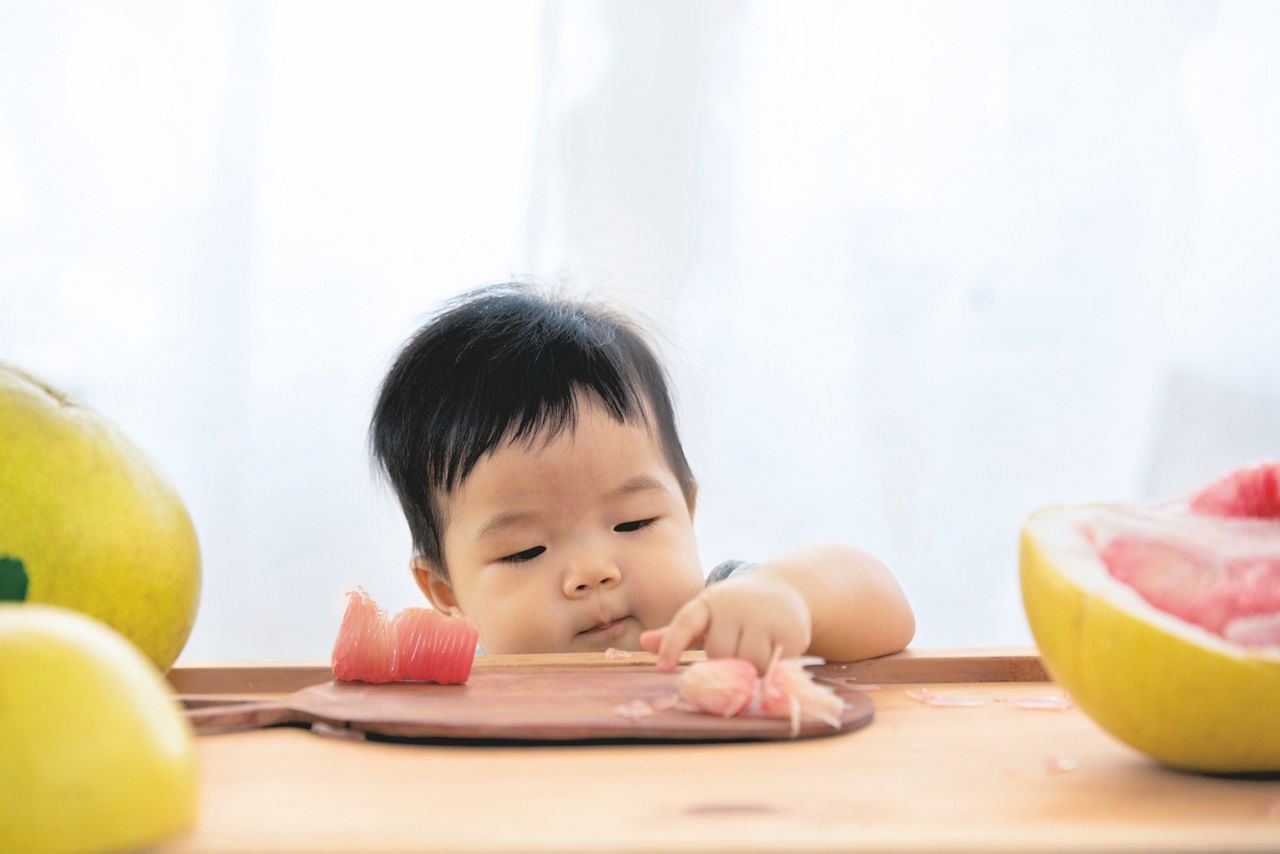 Asian toddler stealing food from table, eating pomelo fruit with hand.