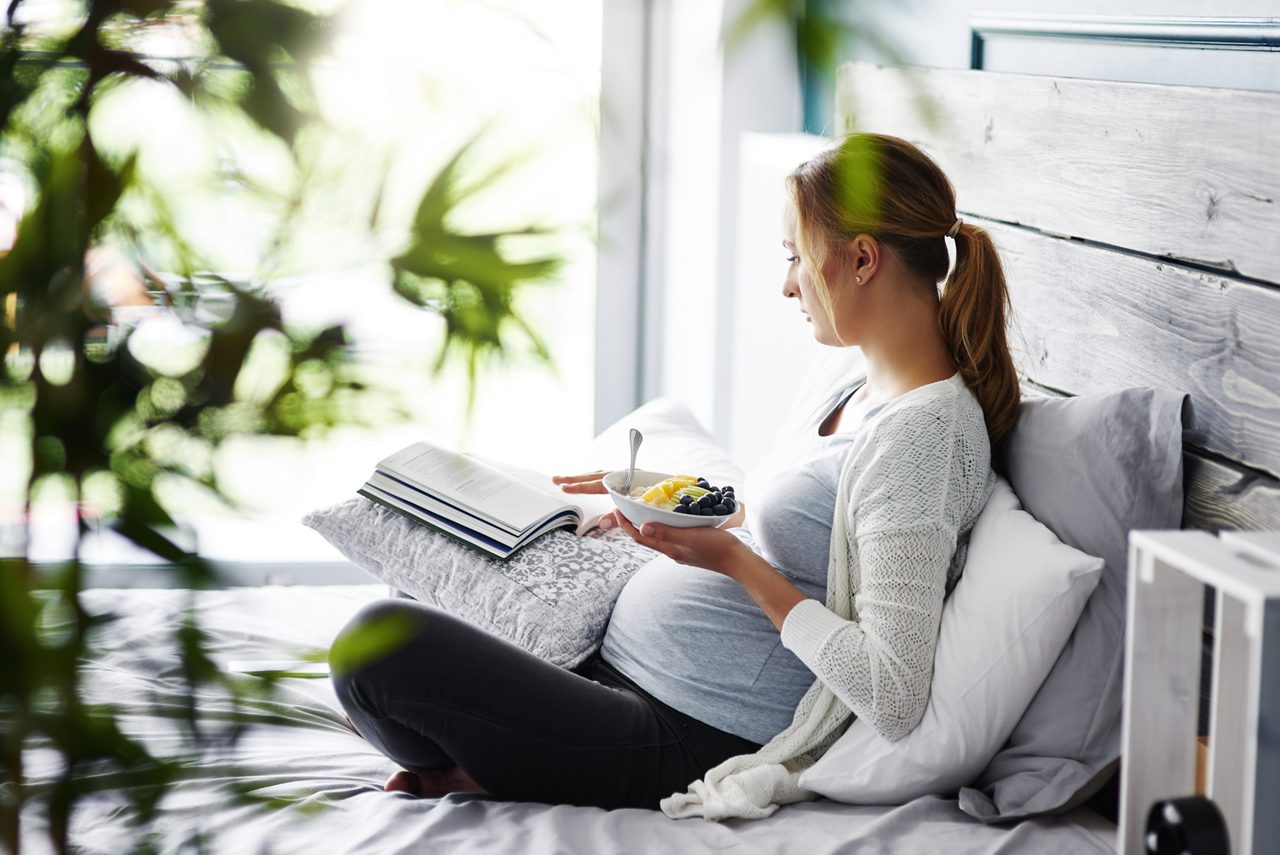 frau schwanger auf sofa buch fruechte