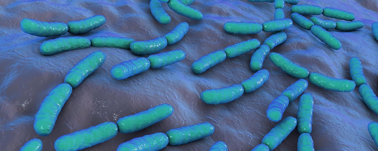 Website Asset - Cards