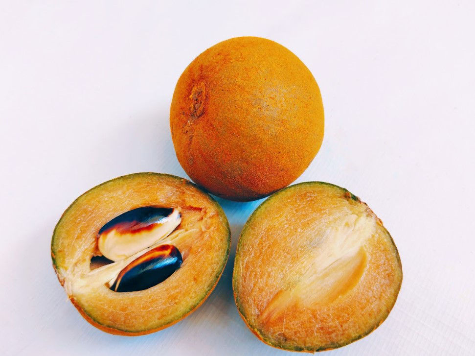 Hồng xiêm (sapoche)