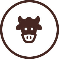 Icon of a cow