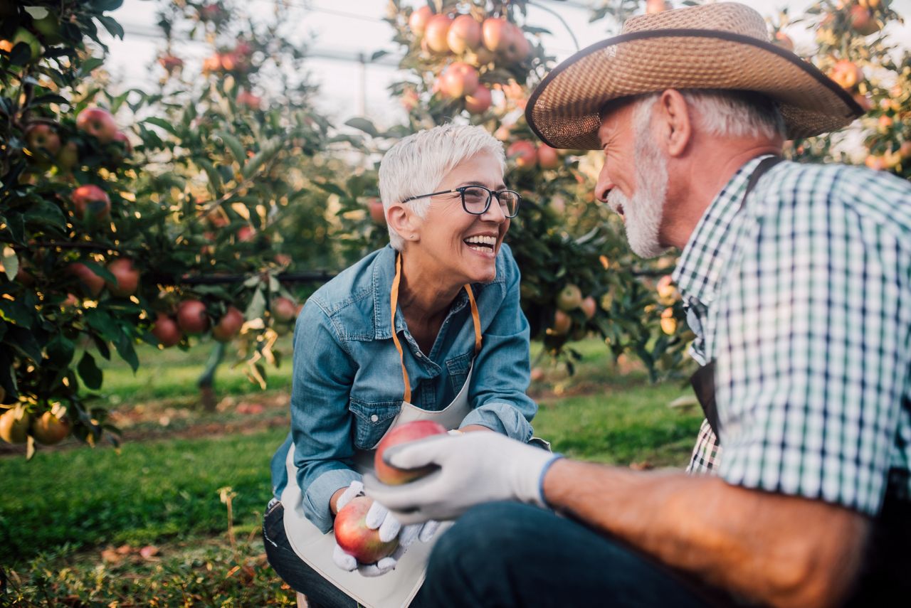 Mature couple with homegrown apples