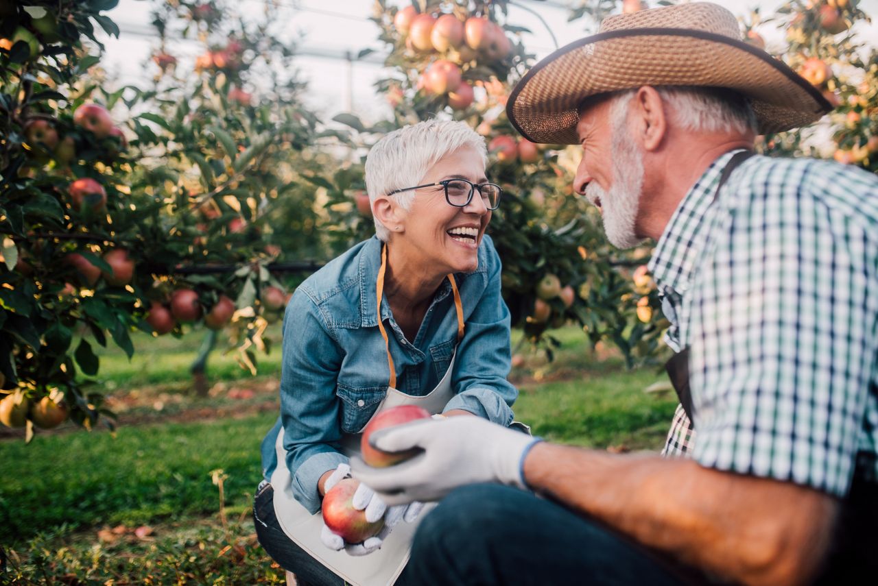 Mature couple with homegrown apples