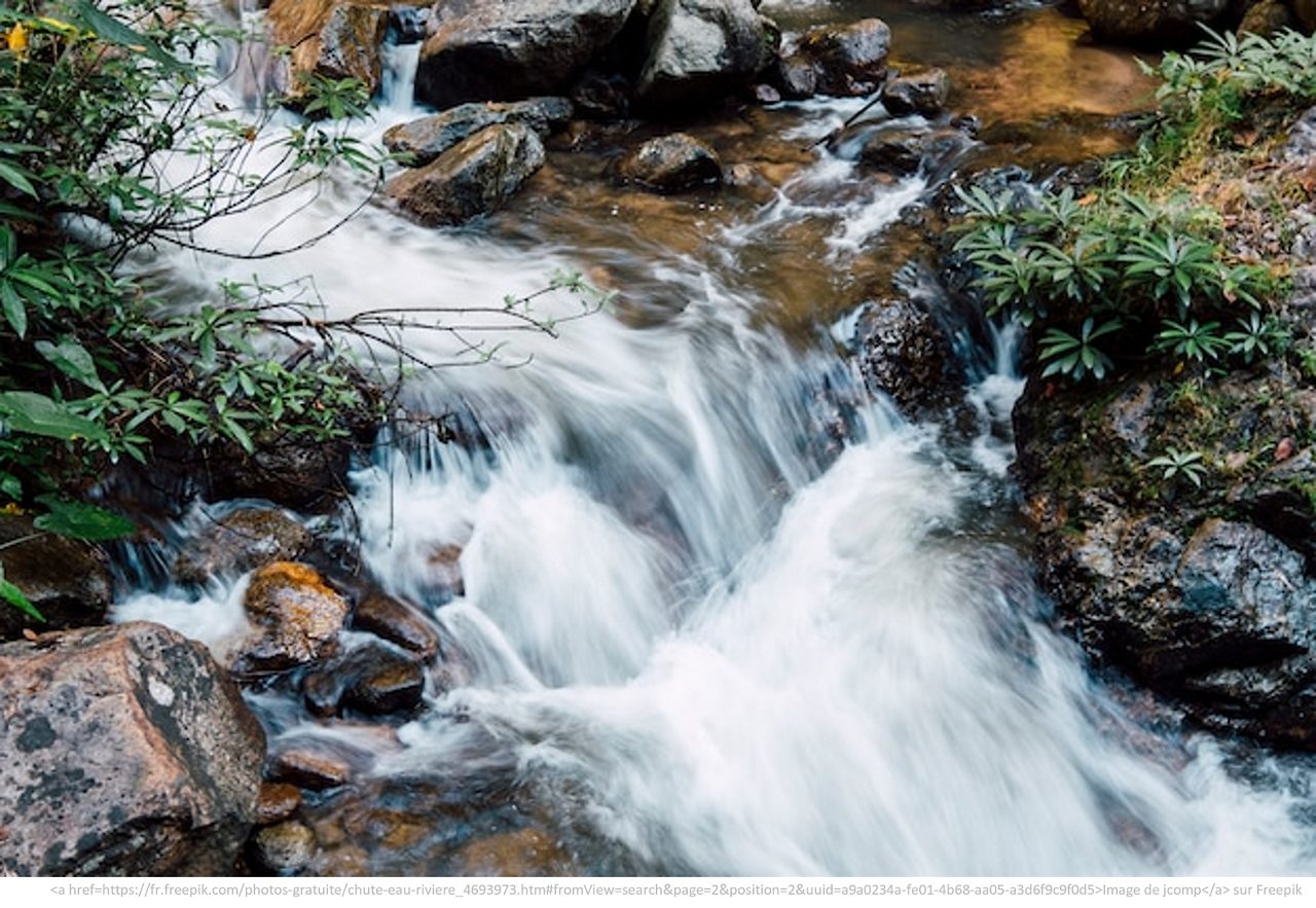 Le cycle de l'eau