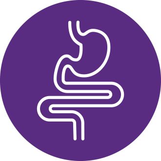 Fibre icon