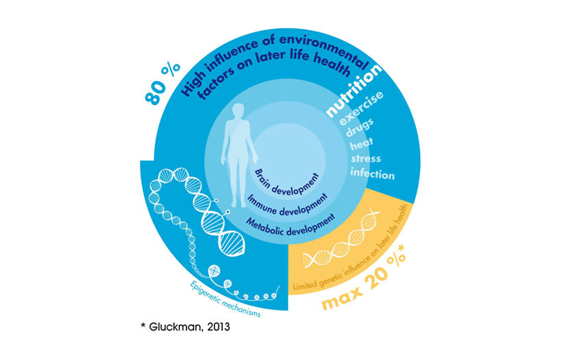 Influence of environmental factors Gluckman 2013