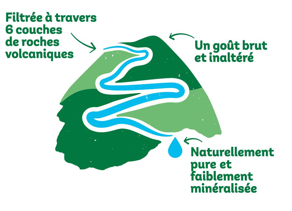 Brandguideline