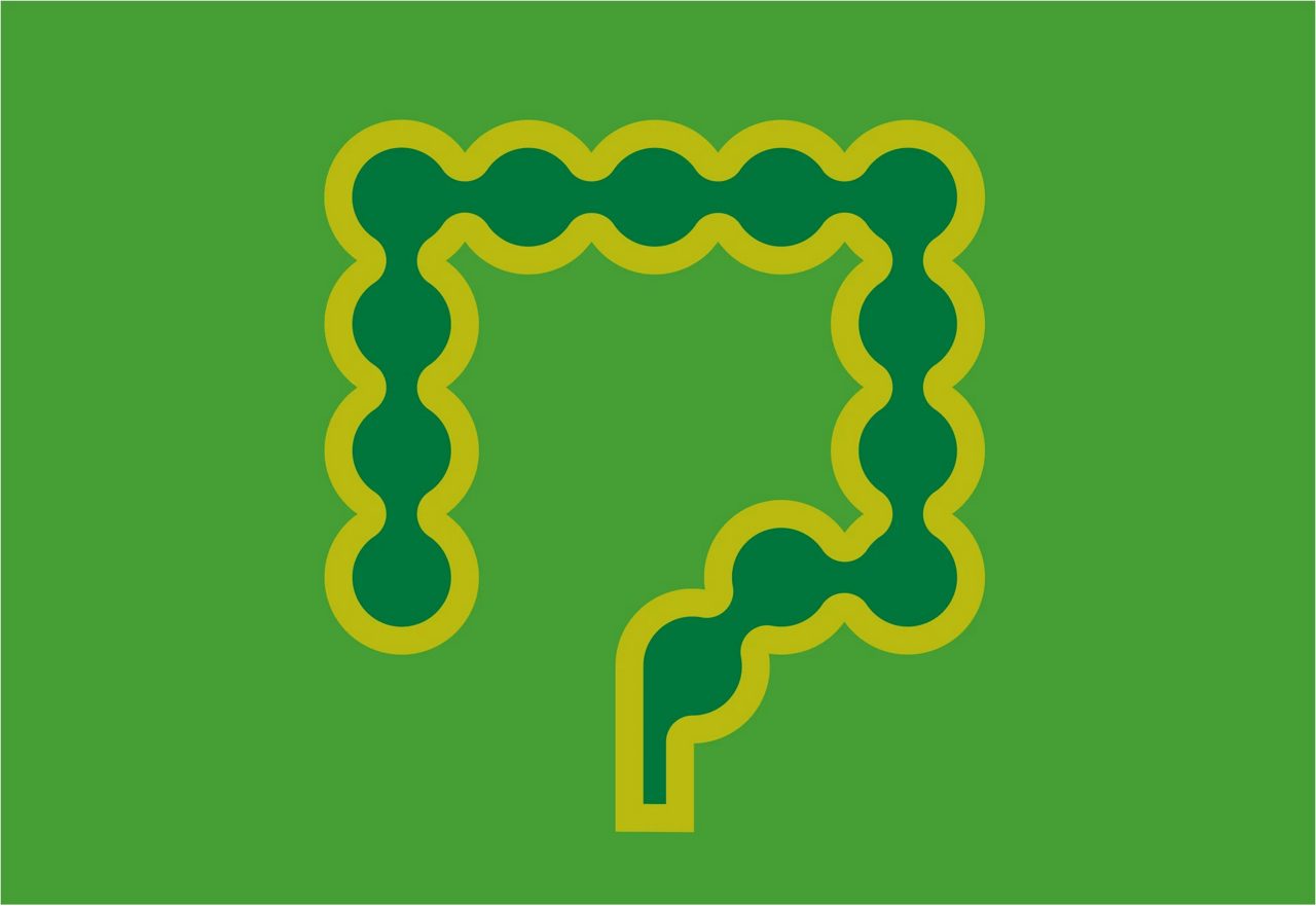 Green intestines