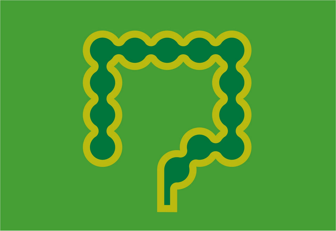 Green intestines