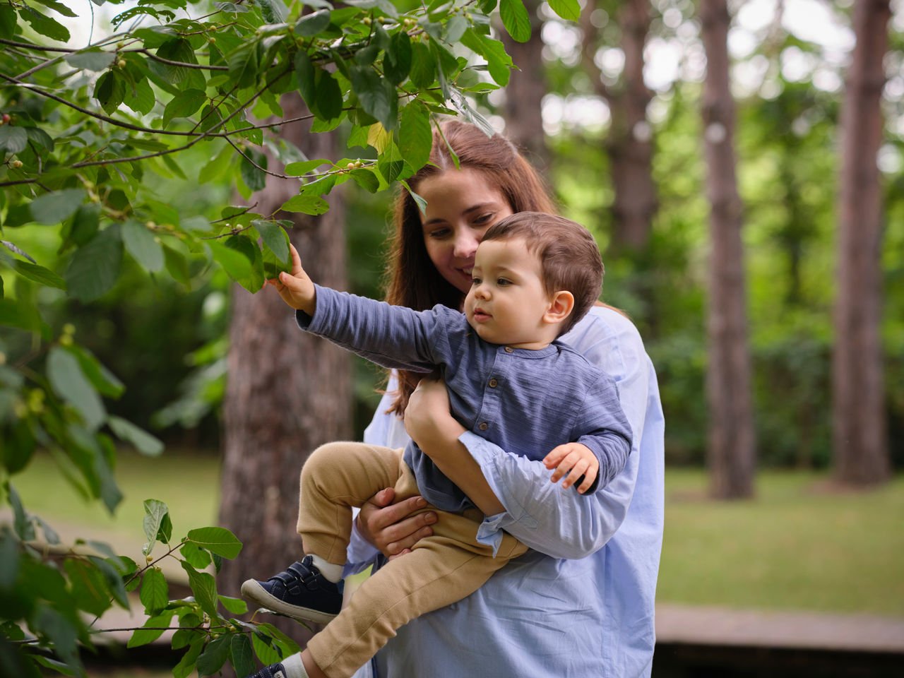 Un adulte porte un tout-petit qui tend la main vers des feuilles vertes lors d’une promenade de découverte dans la nature, au milieu des arbres.