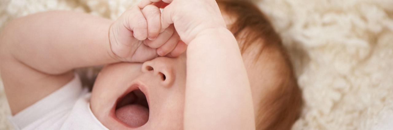 Oysters In Pregnancy